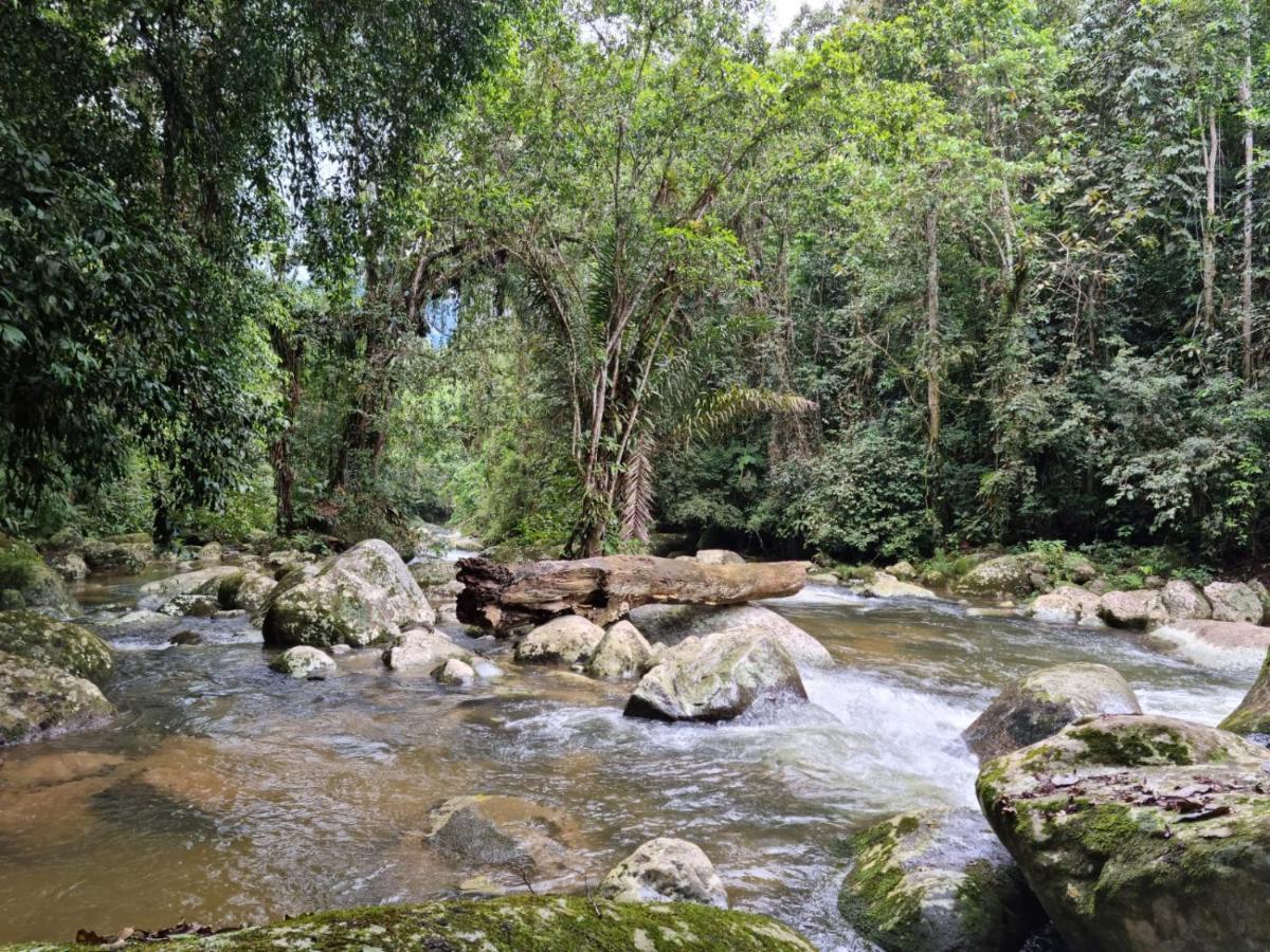Recanto Da Margo 1, Casa Com Acesso A Cachoeira باراتي المظهر الخارجي الصورة