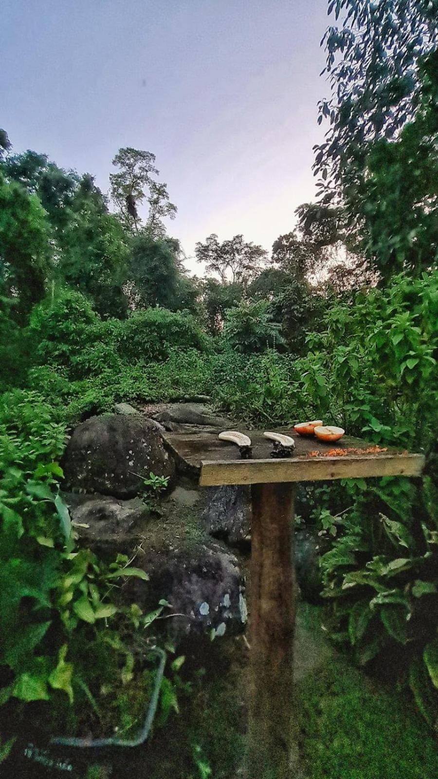 Recanto Da Margo 1, Casa Com Acesso A Cachoeira باراتي المظهر الخارجي الصورة