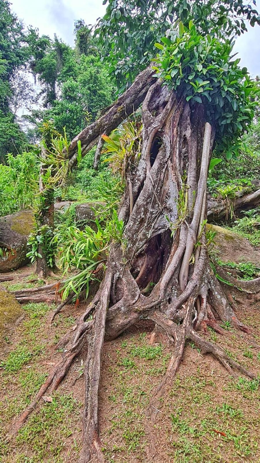 Recanto Da Margo 1, Casa Com Acesso A Cachoeira باراتي المظهر الخارجي الصورة