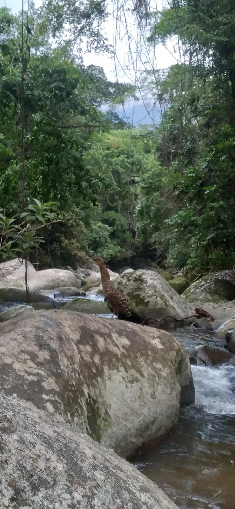 Recanto Da Margo 1, Casa Com Acesso A Cachoeira باراتي المظهر الخارجي الصورة