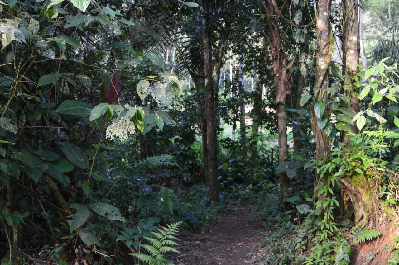 Recanto Da Margo 1, Casa Com Acesso A Cachoeira باراتي المظهر الخارجي الصورة